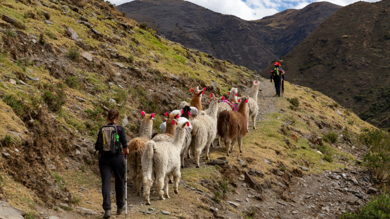 Ruta de Lares Caminata entre Cultura Viva y Paisajes Andinos
